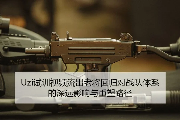 Uzi试训视频流出老将回归对战队体系的深远影响与重塑路径